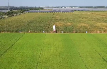 耕地保護：保數(shù)量 提質(zhì)量 管用途 挖潛力