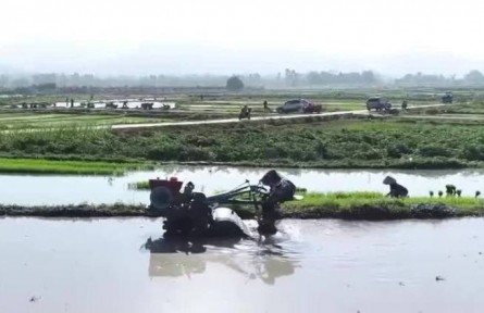 壓責(zé)任 保收益 強(qiáng)基礎(chǔ) 保障國家糧食安全