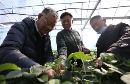 “全國脫貧攻堅楷?！壁w亞夫：帶民同致富，把成績寫在大地上