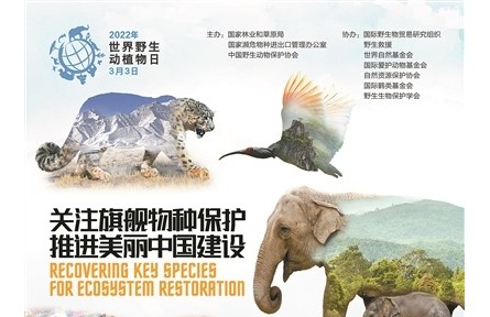 世界野生動植物日宣傳活動在各地舉辦