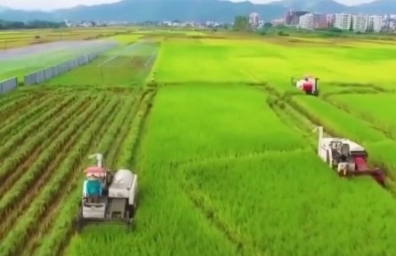 住粵全國(guó)政協(xié)委員熱議：保障國(guó)家糧食安全 兜牢民生保障底線