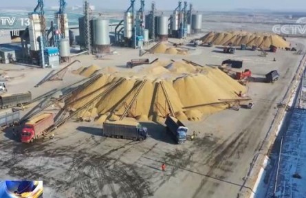 國家糧食和物資儲(chǔ)備局：我國糧食安全形勢(shì)總體較好 保供穩(wěn)價(jià)基礎(chǔ)扎實(shí)