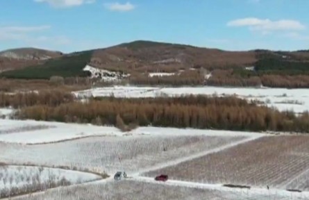 黑龍江：農(nóng)技人員來指導(dǎo) 科技助力農(nóng)業(yè)備耕