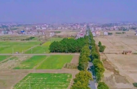 江西南昌：農(nóng)業(yè)豐收 農(nóng)民增收 夯實共同富?；A(chǔ)