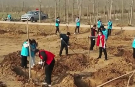 第44個(gè)植樹節(jié) 多地群眾干部積極開展植樹活動