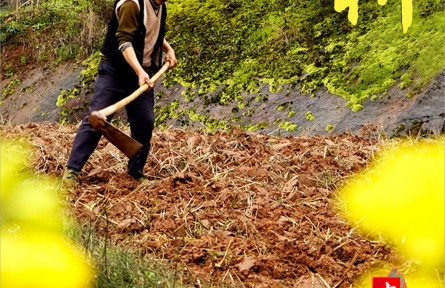 春耕正當(dāng)時(shí)