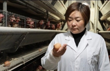 王敏：創(chuàng)辦示范養(yǎng)殖場 帶領(lǐng)村民致富?