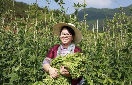 全國三八紅旗手標兵楊寧：帶領(lǐng)大苗山鄉(xiāng)親過上更紅火的日子