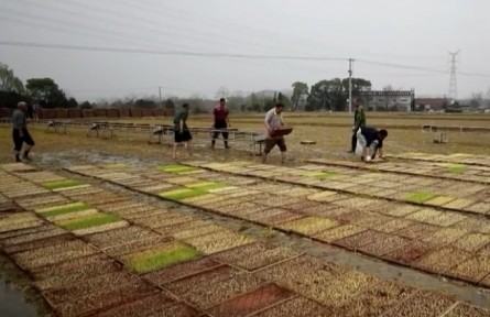 綠色春耕 力促糧食穩(wěn)產(chǎn)提質(zhì)