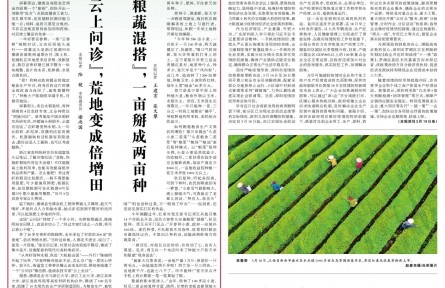 “云上問診”，荒地變成倍增田