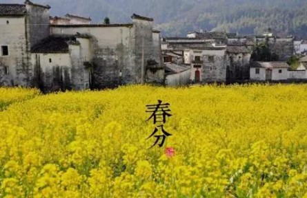 春暖花開，今日春分