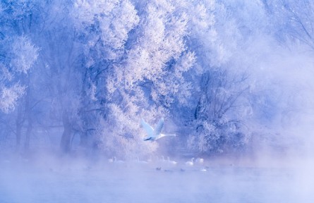 《大美中國(guó)·春天系列》春天的新疆