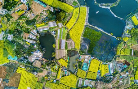 安徽銅陵：碧波微瀾隨日暖 暗香浮動(dòng)伴春風(fēng)