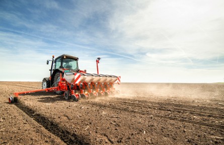 湖南益陽(yáng)：洞庭艷陽(yáng)暖 春耕正當(dāng)時(shí)