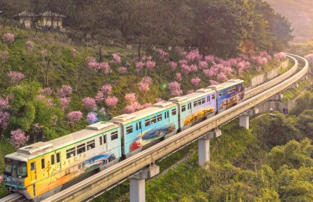 《大美中國(guó)·春天系列》春天的重慶