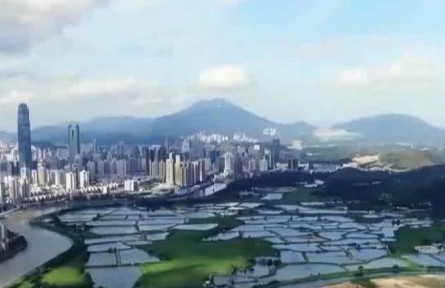 【奮進(jìn)新征程 建功新時代·偉大變革】全面深化改革取得歷史性偉大成就