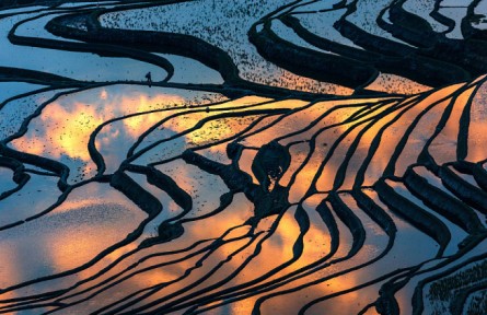 《大美中國(guó)·春天系列》春天的云南