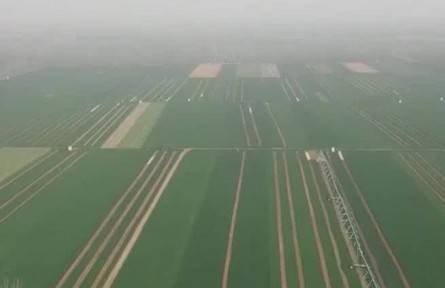 【奮進(jìn)新征程 建功新時代·偉大變革】夯實大國糧倉根基