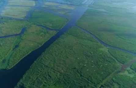 世界水日：持續(xù)開(kāi)展“碧水保衛(wèi)戰(zhàn)” 保護(hù)水生態(tài)環(huán)境