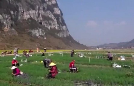 【奮進(jìn)新征程 建功新時(shí)代·偉大變革】民生無(wú)小事 枝葉總關(guān)情