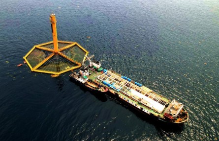 “藏糧于?！钡墓适?></a></td>
<td align=