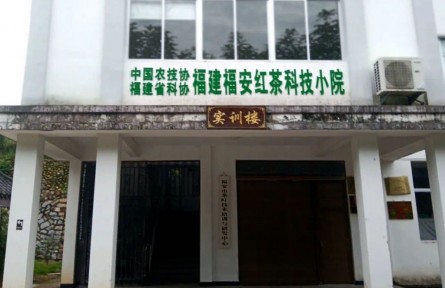 福建福安紅茶科技小院成立 促進(jìn)茶產(chǎn)業(yè)高質(zhì)量發(fā)展