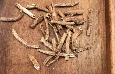 健康問答 | 怎樣煎中藥、喝中藥才能獲得好藥效？