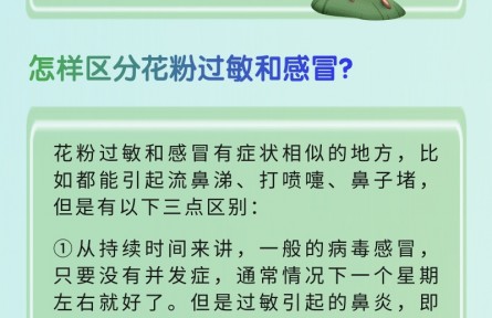 春季花粉過(guò)敏怎么破