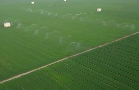 搶農(nóng)時 提品質(zhì) 春管春播有力推進