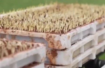 江西：近百萬畝水稻春耕生產(chǎn)全程機(jī)械化