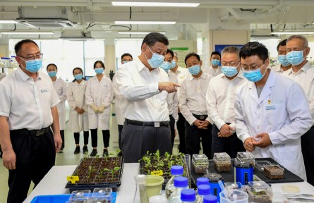 習近平：只有攥緊中國種子，才能端穩(wěn)中國飯碗