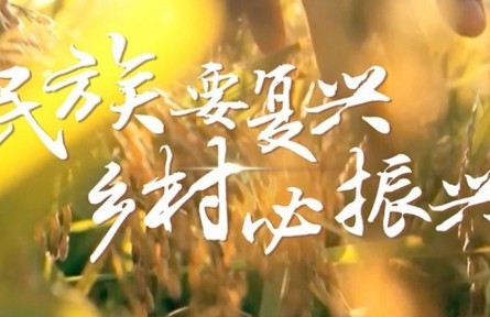 民族要復興 鄉(xiāng)村必振興