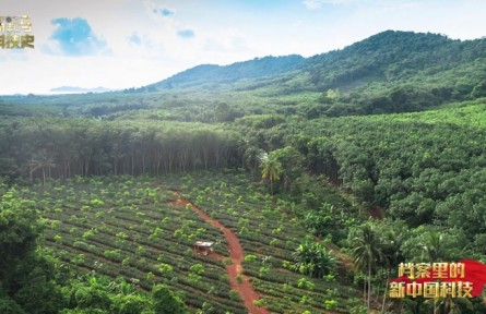 檔案里的新中國科技：為祖國尋找橡膠種植區(qū)