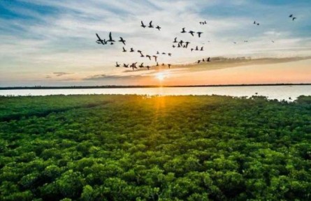 海南：牢記重要囑托 提升治理能力 加快建設(shè)國家生態(tài)文明試驗(yàn)區(qū)