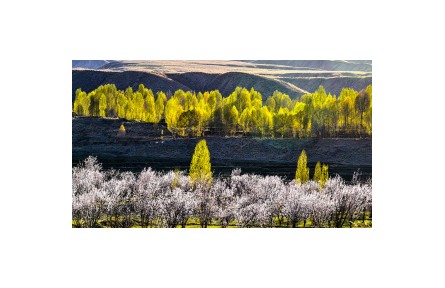 《大美中國·家國清明》甘肅