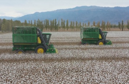 新疆兵團：強化科技支撐 農(nóng)業(yè)高效發(fā)展