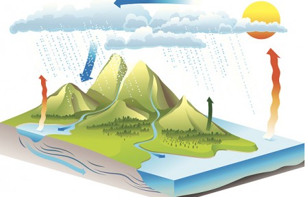 科技名詞 | 水循環(huán)  water cycle