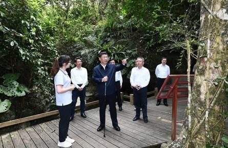 習(xí)近平：森林是水庫(kù)、錢庫(kù)、糧庫(kù)，現(xiàn)在應(yīng)該再加上一個(gè)“碳庫(kù)”