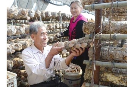 天津：結(jié)對幫扶 花開幸福