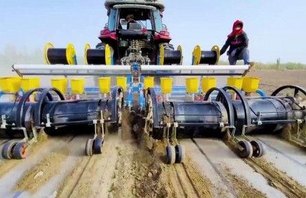 新疆棉原來是這樣種的！3700萬畝棉田開播，太壯觀