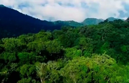 海南：打造國家公園建設的“海南樣本”