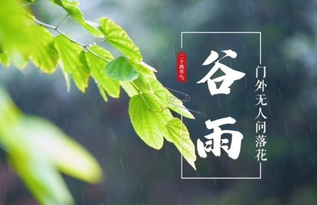 谷雨，門外無人問落花
