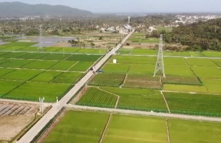 海南：探訪國(guó)家南繁科研育種基地