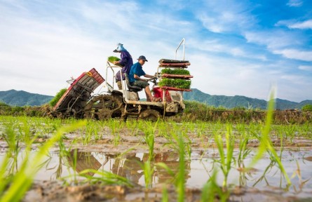 疫情挑戰(zhàn)下，如何抓好抓牢“米袋子”“菜籃子”？