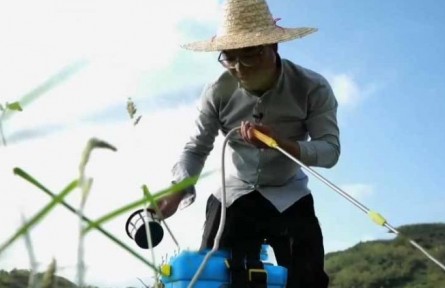 水稻栽培師李建武：扎根稻田 做一粒“好種子”