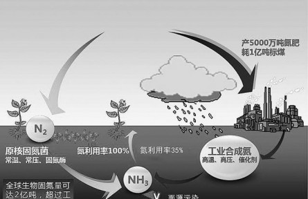 替代氮肥：生物固氮有了路線圖