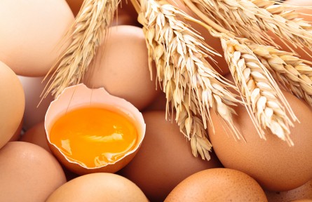 辟謠 | 無菌蛋≠完全無菌，營養(yǎng)價值與普通蛋相當(dāng)