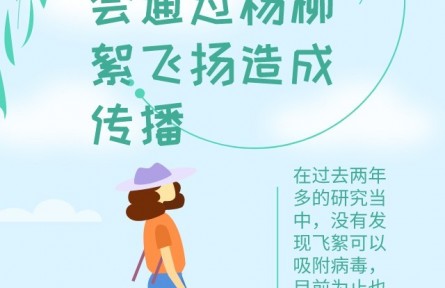 辟謠 | 飛絮會不會傳播新冠病毒？易過敏人群應(yīng)如何做好防護(hù)？