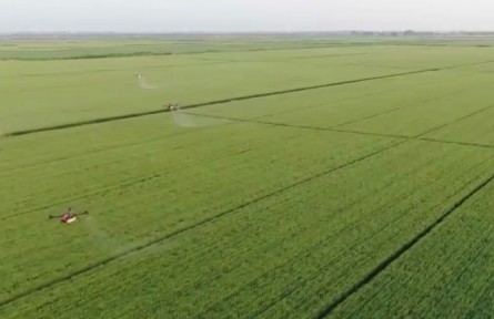 搶農(nóng)時促生產(chǎn) 春管春播進(jìn)入高峰