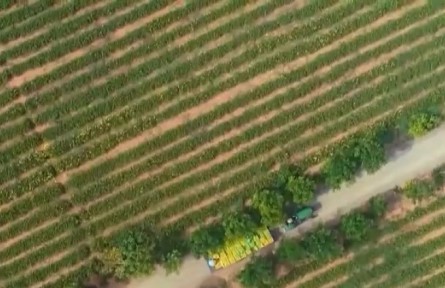 【穩(wěn)字當(dāng)頭 干在實處·權(quán)威訪談】全力以赴穩(wěn)住農(nóng)業(yè)基本盤